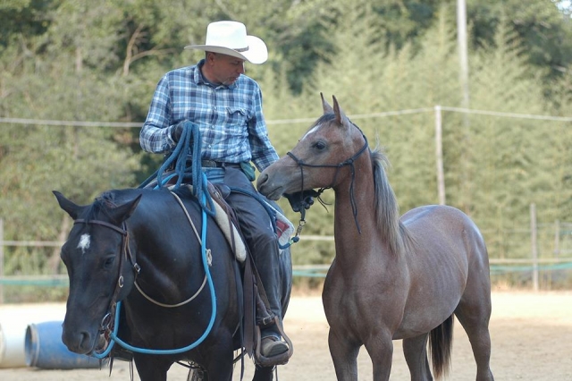  listo para la caminata